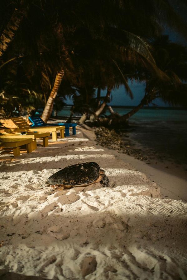 Ranguana Caye Cabanas Placencia Extérieur photo
